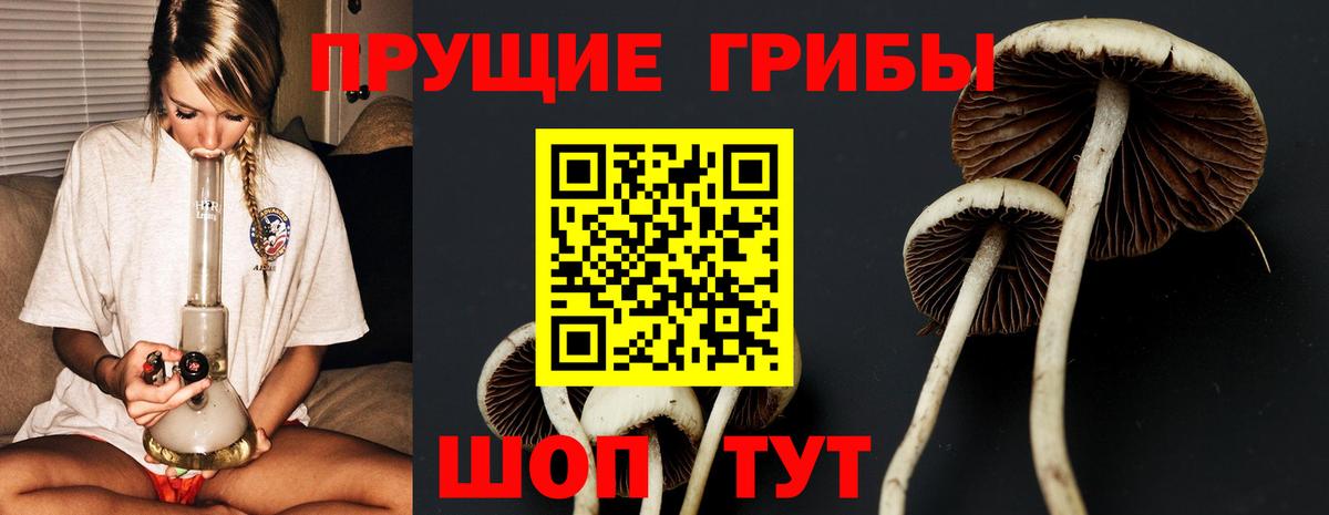 Псилоцибиновые грибы мухоморы  Вход с VPN  Боровичи 